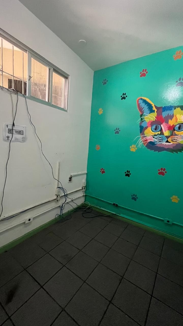 Loja em Centro — foto 4